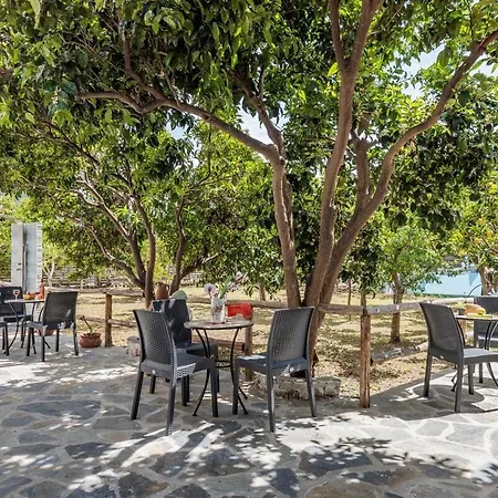 Lemon Trees &