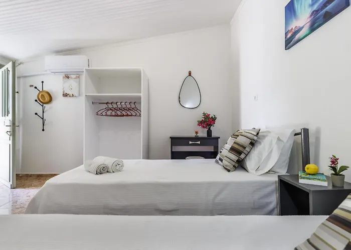 Lemon Trees & Apartment *