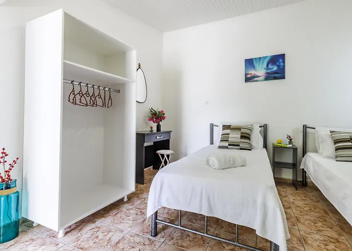 Apartment Lemon Trees & *