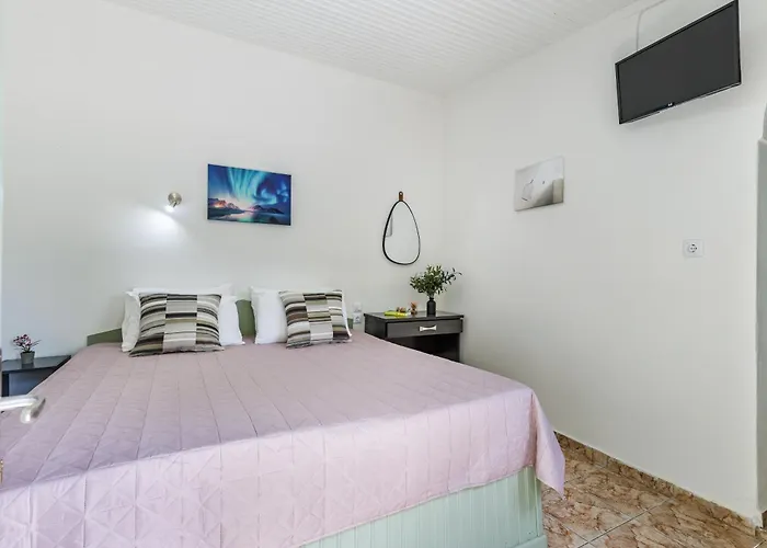 Apartment Lemon Trees & *